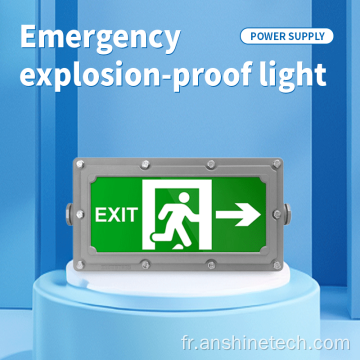 Panneau de sortie antidéflagrant double face